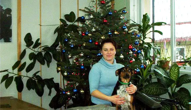 Małgorzata Dąbrowska in Potęgowo office Małgorzata Dąbrowska in Potęgowo office